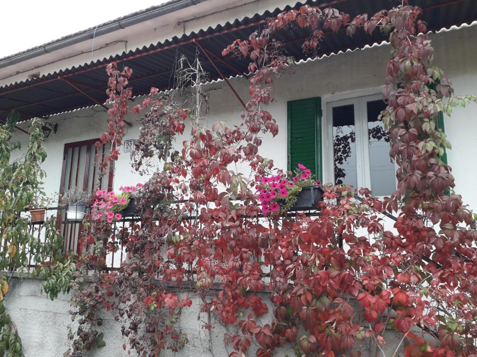 Casa Al Vantaggio Villa Orvieto Exterior photo